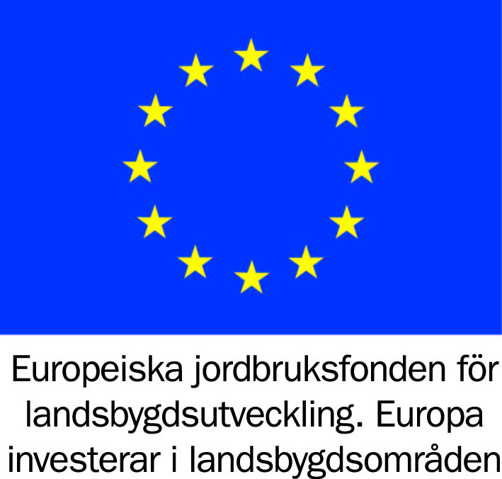 EU-flag
